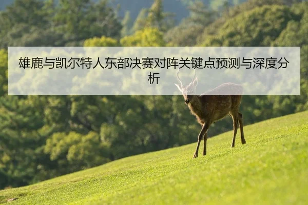 雄鹿与凯尔特人东部决赛对阵关键点预测与深度分析